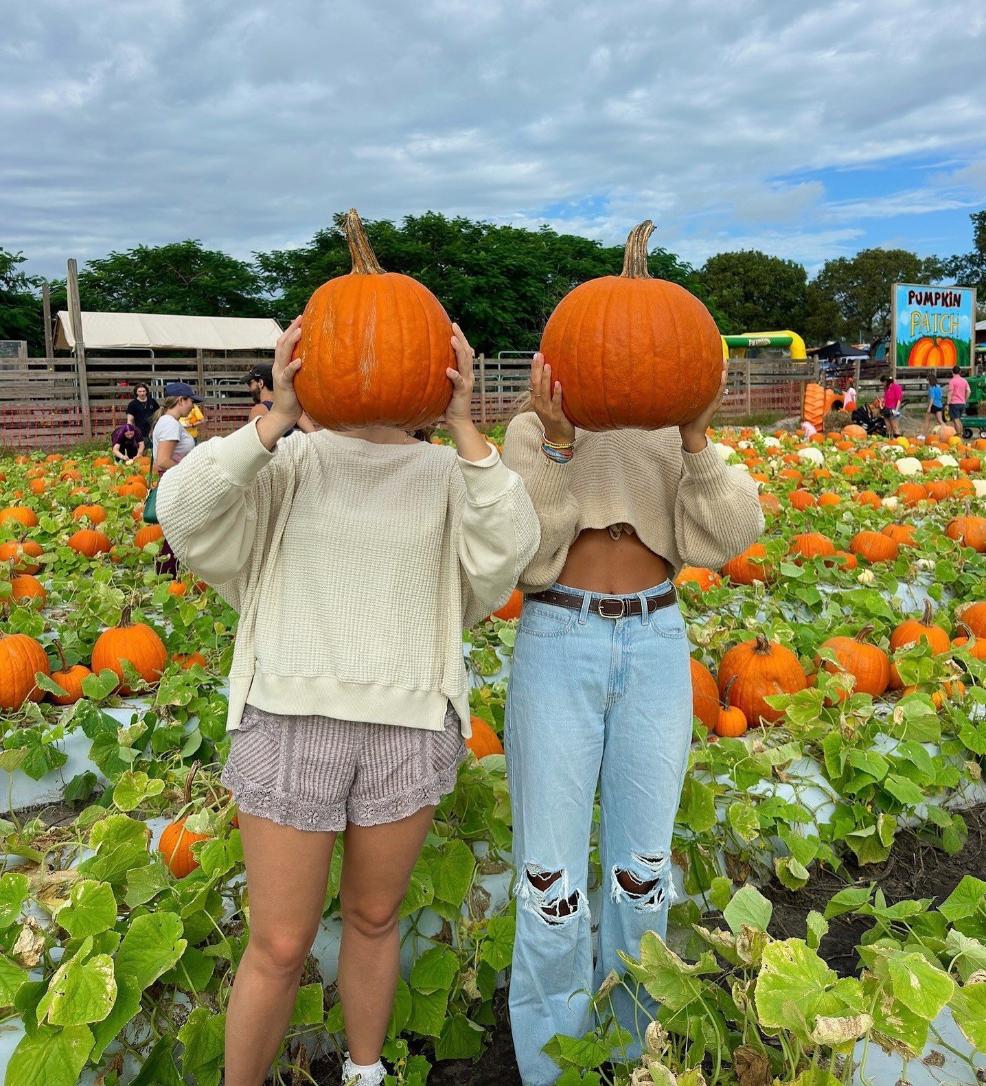 23 Pumpkin Patch Outfits for Women: Easy and Stylish Fall Looks imageye pumpkin patch outfits for women 14